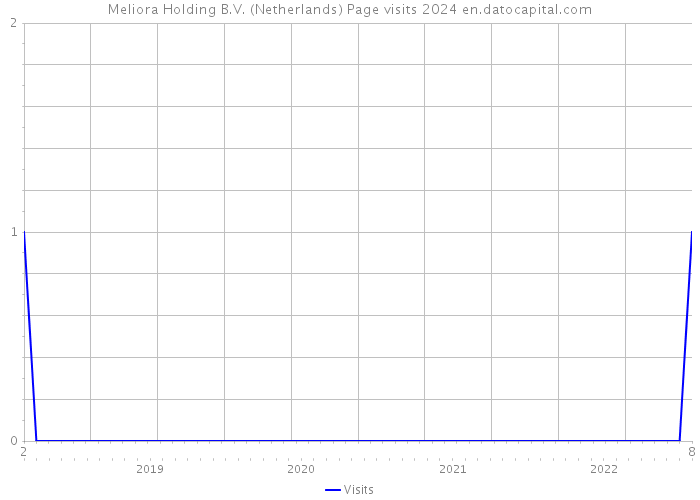 Meliora Holding B.V. (Netherlands) Page visits 2024 