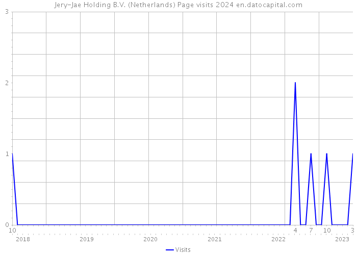 Jery-Jae Holding B.V. (Netherlands) Page visits 2024 