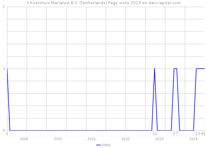 't Koetshuis Marialust B.V. (Netherlands) Page visits 2024 