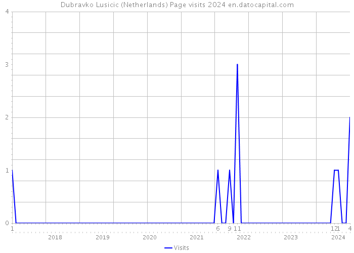 Dubravko Lusicic (Netherlands) Page visits 2024 