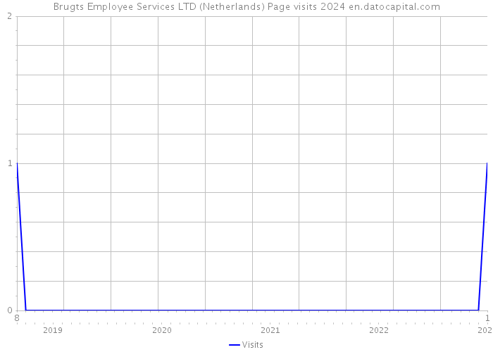 Brugts Employee Services LTD (Netherlands) Page visits 2024 
