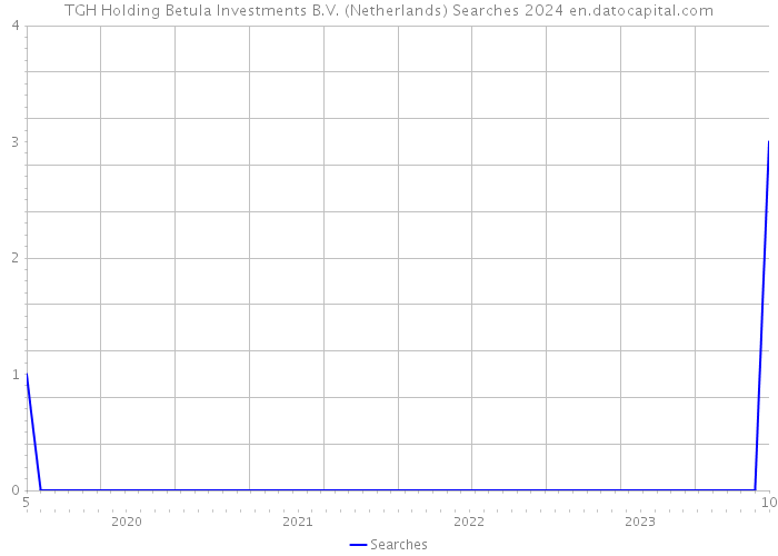 TGH Holding Betula Investments B.V. (Netherlands) Searches 2024 