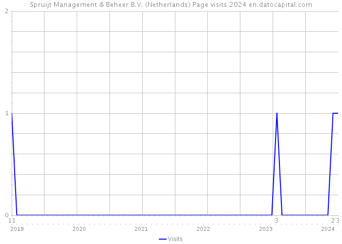 Spruijt Management & Beheer B.V. (Netherlands) Page visits 2024 
