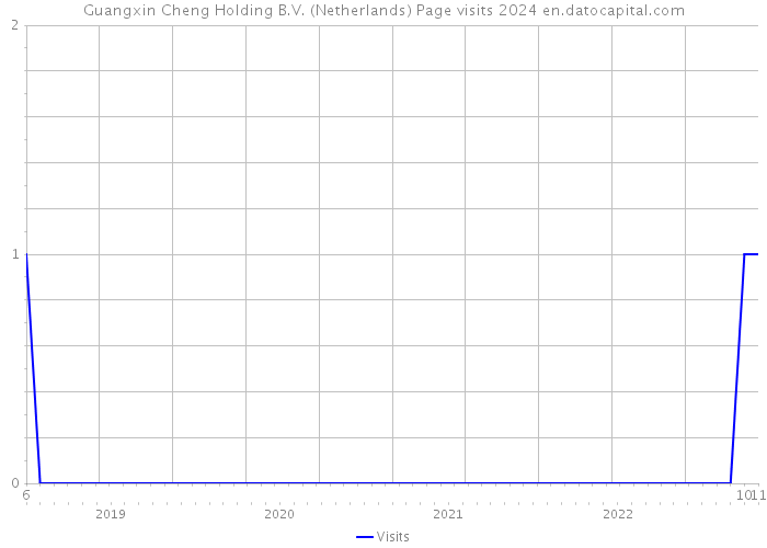 Guangxin Cheng Holding B.V. (Netherlands) Page visits 2024 