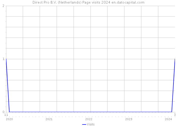Direct Pro B.V. (Netherlands) Page visits 2024 