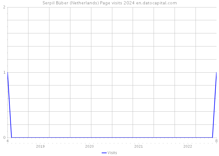 Serpil Büber (Netherlands) Page visits 2024 