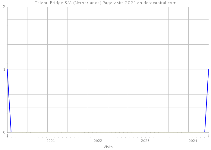Talent-Bridge B.V. (Netherlands) Page visits 2024 