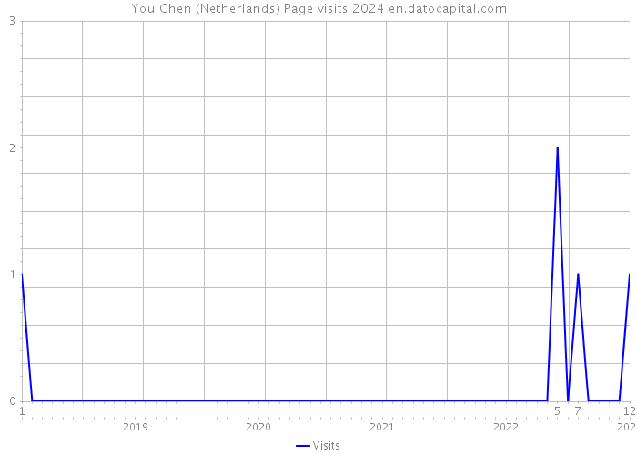 You Chen (Netherlands) Page visits 2024 