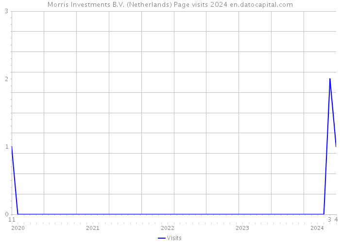 Morris Investments B.V. (Netherlands) Page visits 2024 