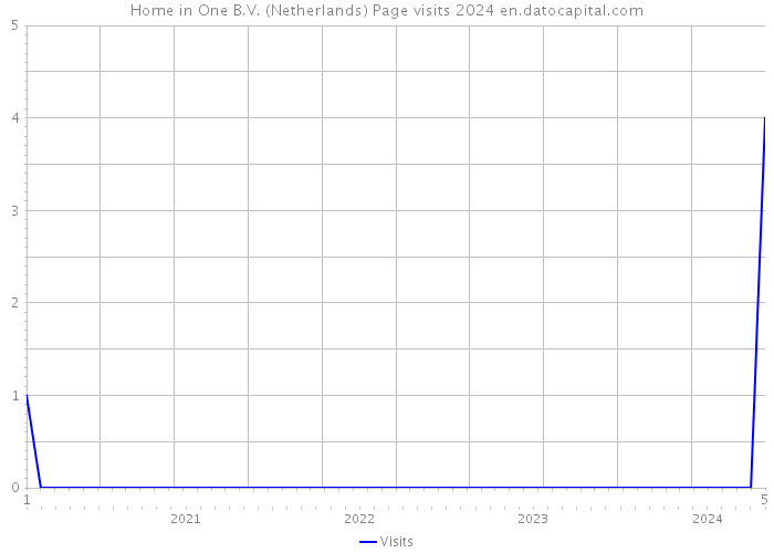 Home in One B.V. (Netherlands) Page visits 2024 