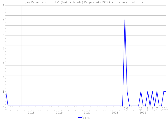 Jay Pape Holding B.V. (Netherlands) Page visits 2024 