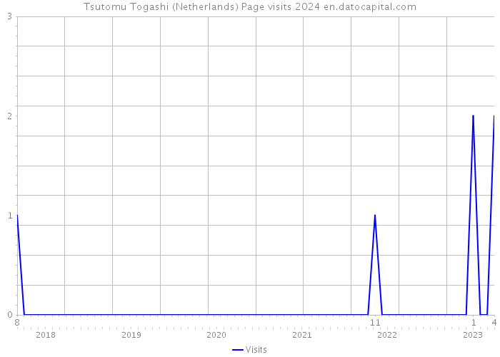 Tsutomu Togashi (Netherlands) Page visits 2024 