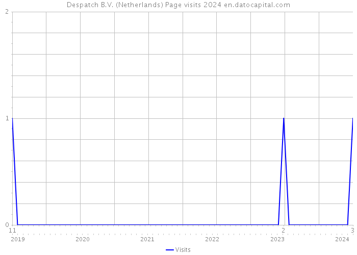 Despatch B.V. (Netherlands) Page visits 2024 
