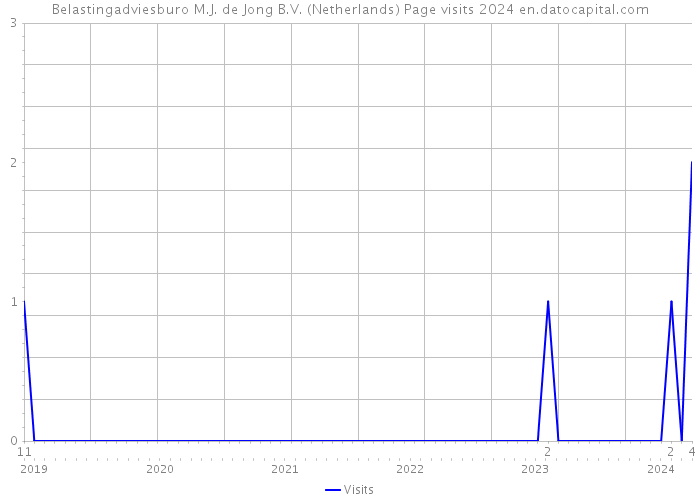 Belastingadviesburo M.J. de Jong B.V. (Netherlands) Page visits 2024 