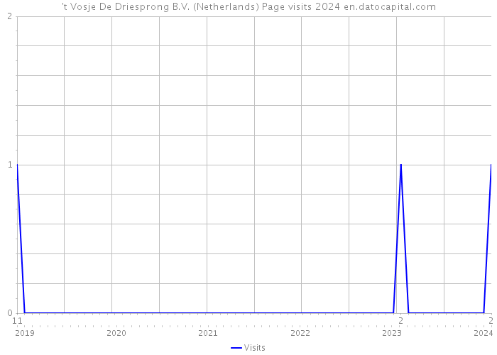 't Vosje De Driesprong B.V. (Netherlands) Page visits 2024 