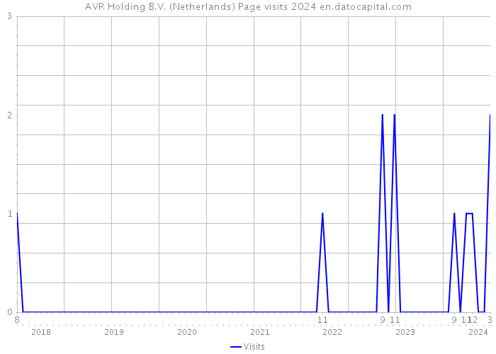 AVR Holding B.V. (Netherlands) Page visits 2024 