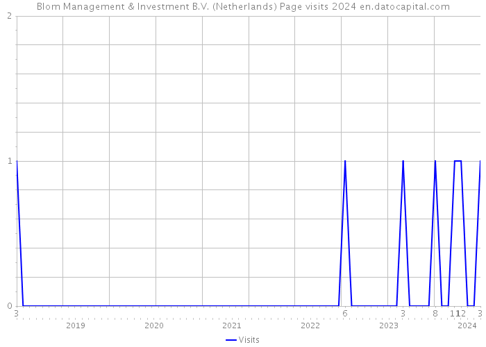 Blom Management & Investment B.V. (Netherlands) Page visits 2024 