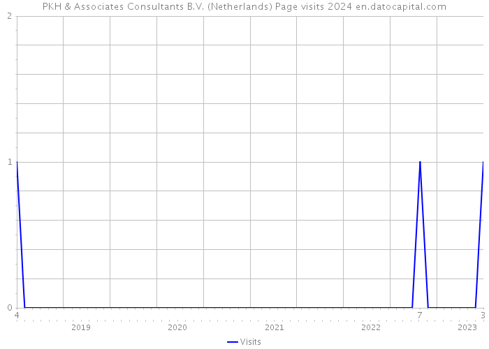 PKH & Associates Consultants B.V. (Netherlands) Page visits 2024 