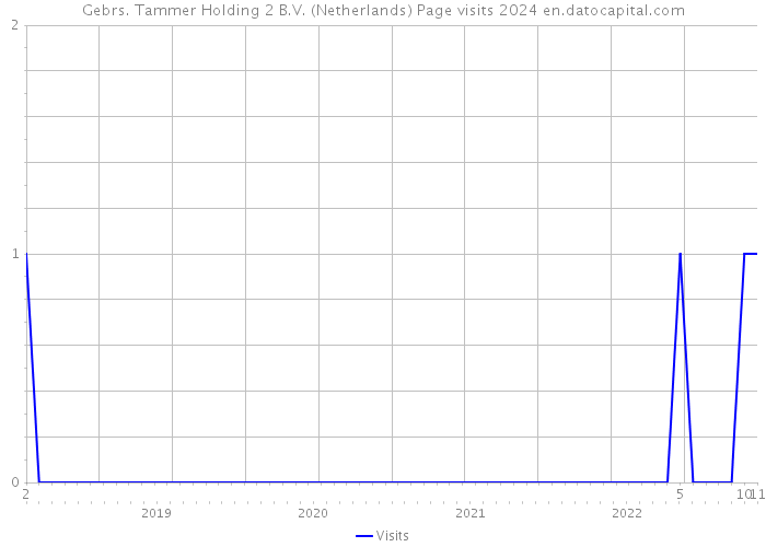 Gebrs. Tammer Holding 2 B.V. (Netherlands) Page visits 2024 