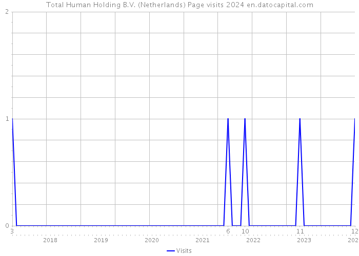 Total Human Holding B.V. (Netherlands) Page visits 2024 