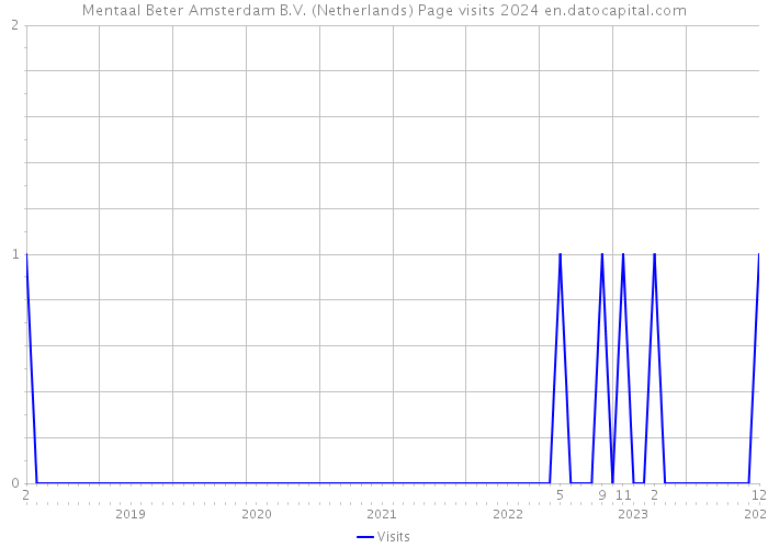 Mentaal Beter Amsterdam B.V. (Netherlands) Page visits 2024 