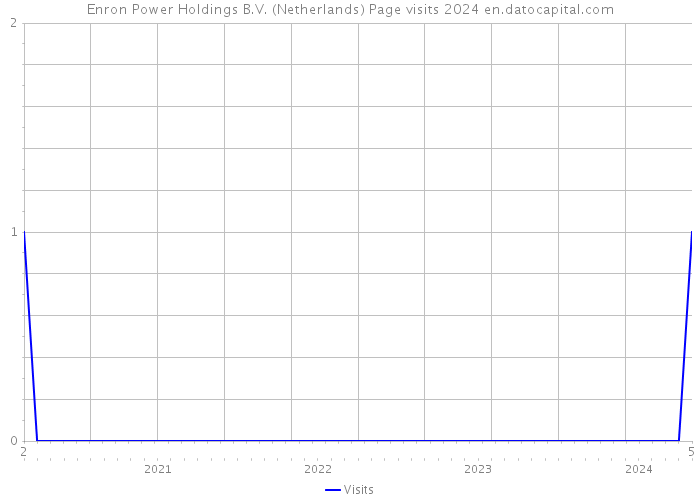 Enron Power Holdings B.V. (Netherlands) Page visits 2024 