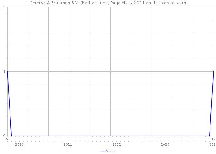 Peterse & Brugman B.V. (Netherlands) Page visits 2024 
