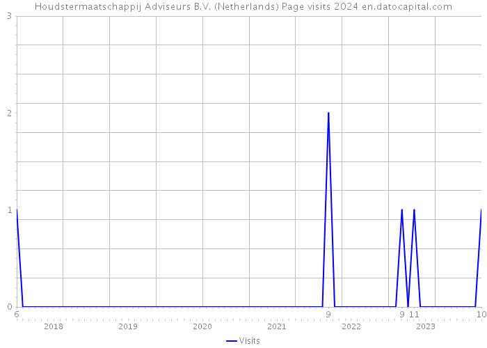 Houdstermaatschappij Adviseurs B.V. (Netherlands) Page visits 2024 