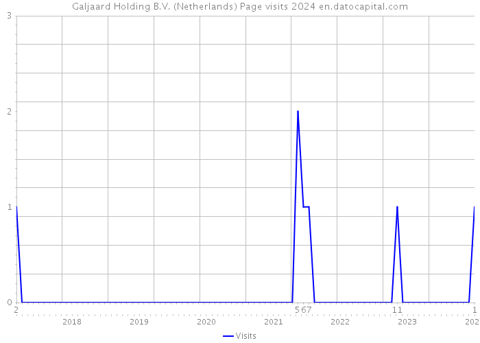 Galjaard Holding B.V. (Netherlands) Page visits 2024 
