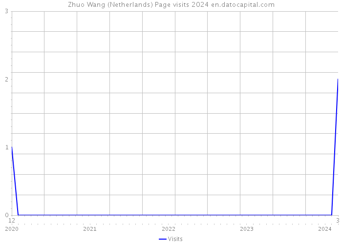Zhuo Wang (Netherlands) Page visits 2024 
