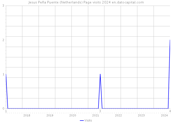 Jesus Peña Puente (Netherlands) Page visits 2024 
