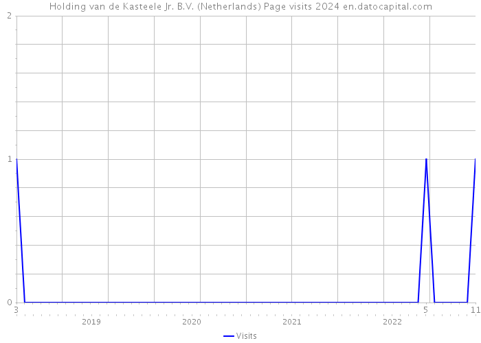 Holding van de Kasteele Jr. B.V. (Netherlands) Page visits 2024 