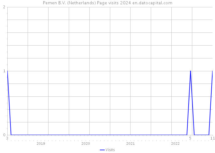 Pemen B.V. (Netherlands) Page visits 2024 