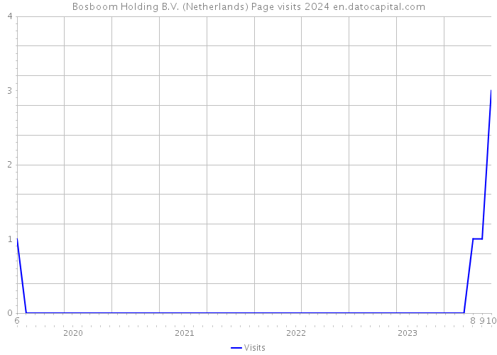 Bosboom Holding B.V. (Netherlands) Page visits 2024 