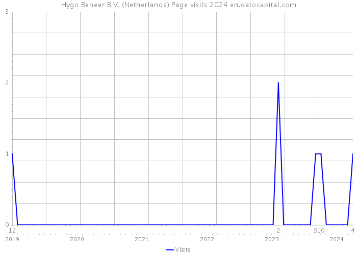 Hygo Beheer B.V. (Netherlands) Page visits 2024 