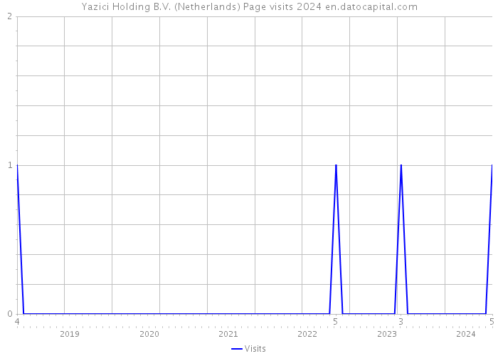 Yazici Holding B.V. (Netherlands) Page visits 2024 