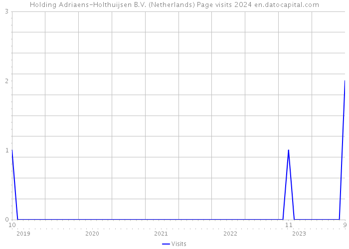 Holding Adriaens-Holthuijsen B.V. (Netherlands) Page visits 2024 