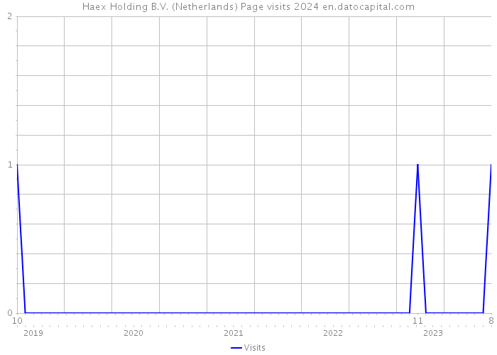 Haex Holding B.V. (Netherlands) Page visits 2024 