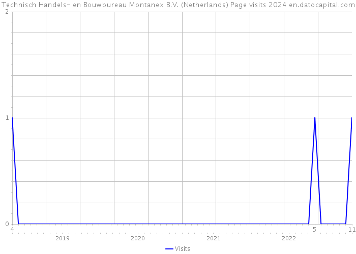 Technisch Handels- en Bouwbureau Montanex B.V. (Netherlands) Page visits 2024 