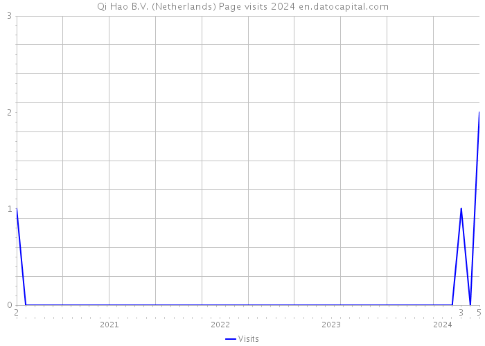 Qi Hao B.V. (Netherlands) Page visits 2024 