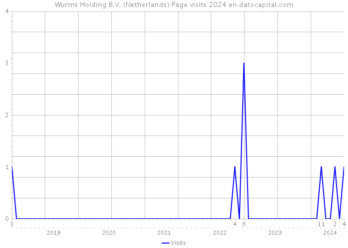 Wurms Holding B.V. (Netherlands) Page visits 2024 