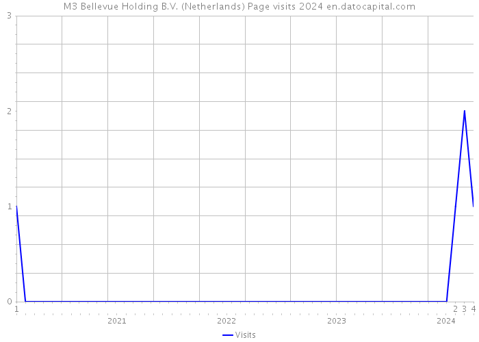 M3 Bellevue Holding B.V. (Netherlands) Page visits 2024 