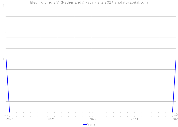 Bleu Holding B.V. (Netherlands) Page visits 2024 