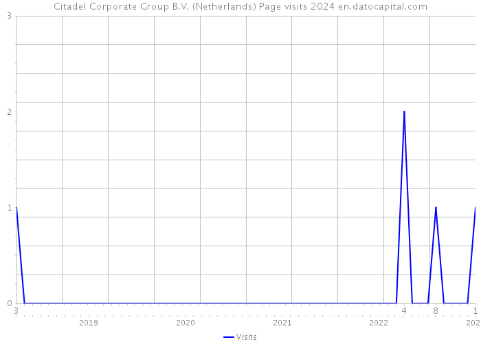 Citadel Corporate Group B.V. (Netherlands) Page visits 2024 