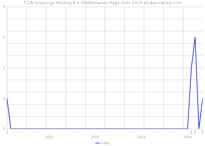 T.J.W. Kruizinga Holding B.V. (Netherlands) Page visits 2024 