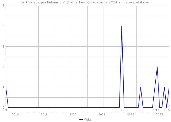 Bert Verspagen Beheer B.V. (Netherlands) Page visits 2024 