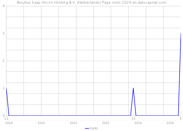 Beryllus Kaap Hoorn Holding B.V. (Netherlands) Page visits 2024 