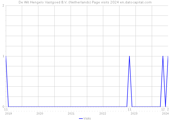 De Wit Hengelo Vastgoed B.V. (Netherlands) Page visits 2024 