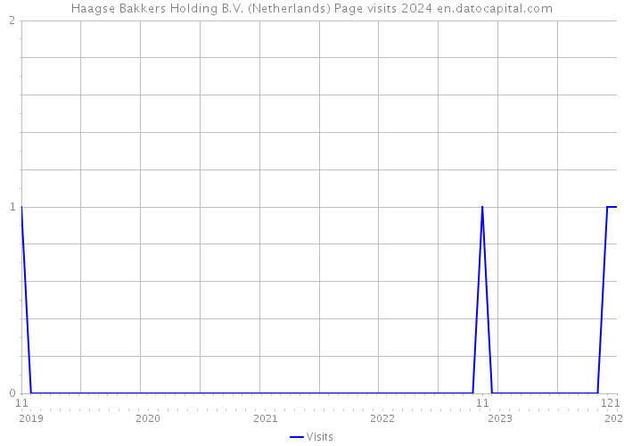 Haagse Bakkers Holding B.V. (Netherlands) Page visits 2024 