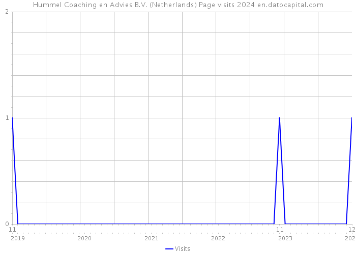 Hummel Coaching en Advies B.V. (Netherlands) Page visits 2024 